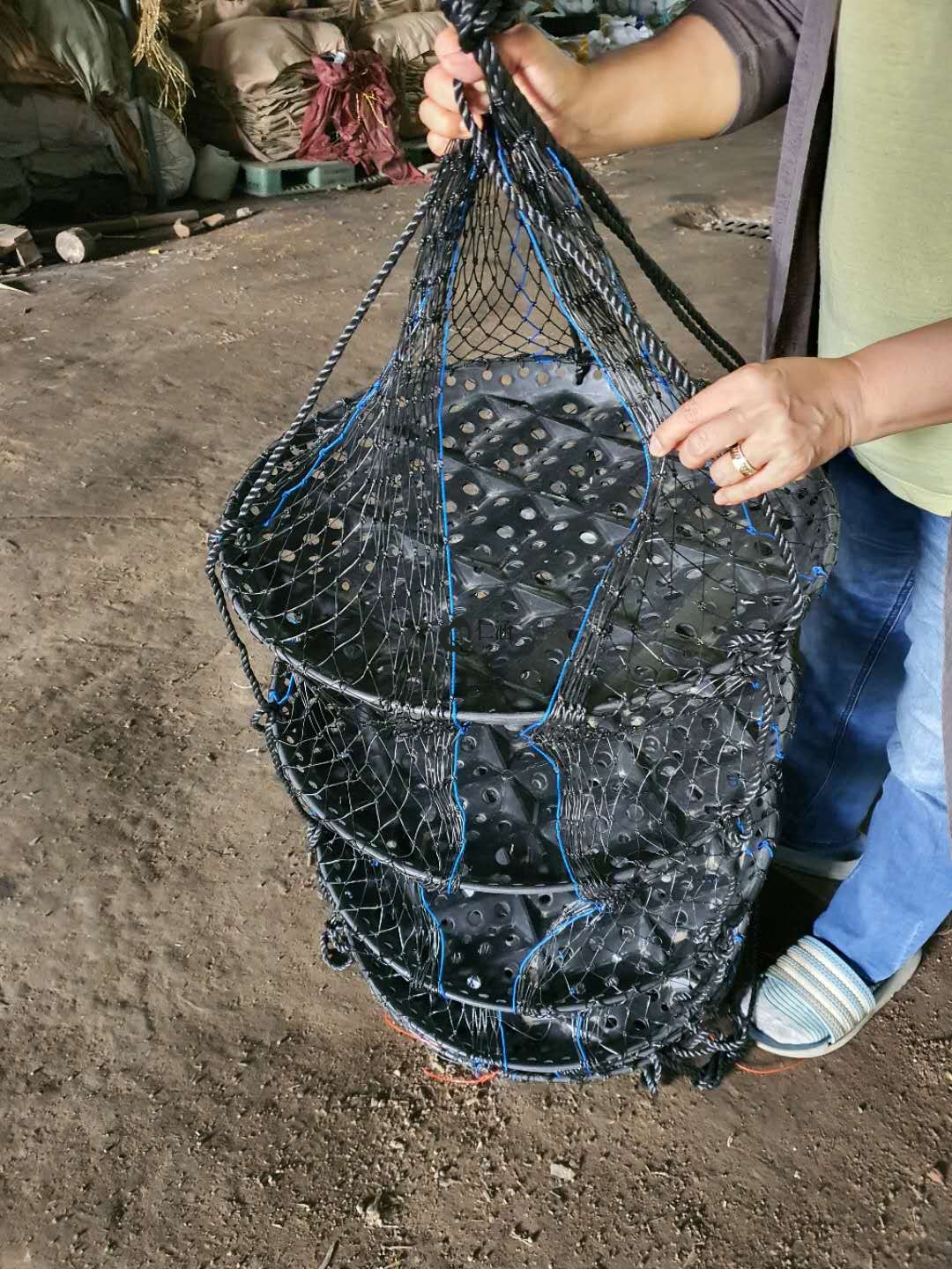 外國客戶用成養籠